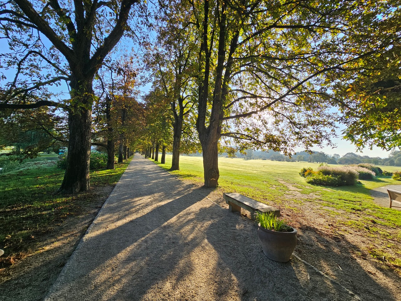 arboretum